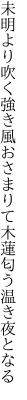 未明より吹く強き風おさまりて 木蓮匂う温き夜となる