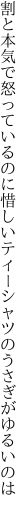 割と本気で怒っているのに惜しい ティーシャツのうさぎがゆるいのは