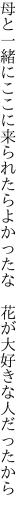 母と一緒にここに来られたらよかったな  花が大好きな人だったから