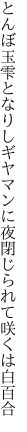 とんぼ玉雫となりしギヤマンに 夜閉じられて咲くは白百合