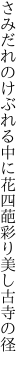 さみだれのけぶれる中に花四葩 彩り美し古寺の径