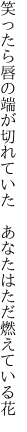 笑ったら唇の端が切れていた  あなたはただ燃えている花