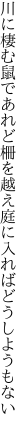 川に棲む鼠であれど柵を越え 庭に入ればどうしようもない