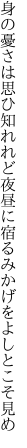 身の憂さは思ひ知れれど夜昼に 宿るみかげをよしとこそ見め