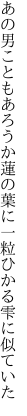 あの男こともあろうか蓮の葉に 一粒ひかる雫に似ていた