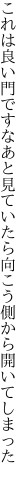 これは良い門ですなあと見ていたら 向こう側から開いてしまった