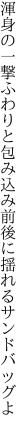 渾身の一撃ふわりと包み込み 前後に揺れるサンドバッグよ