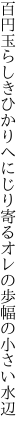 百円玉らしきひかりへにじり寄る オレの歩幅の小さい水辺