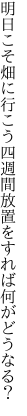 明日こそ畑に行こう四週間 放置をすれば何がどうなる？