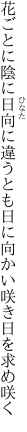 花ごとに陰に日向に違うとも 日に向かい咲き日を求め咲く