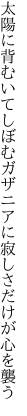 太陽に背むいてしぼむガザニアに 寂しさだけが心を襲う