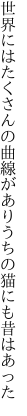 世界にはたくさんの曲線があり うちの猫にも昔はあった