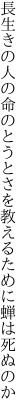 長生きの人の命のとうとさを 教えるために蝉は死ぬのか