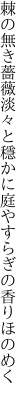 棘の無き薔薇淡々と穩かに 庭やすらぎの香りほのめく