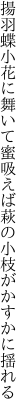 揚羽蝶小花に舞いて蜜吸えば 萩の小枝がかすかに揺れる