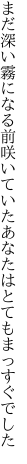 まだ深い霧になる前咲いていた あなたはとてもまっすぐでした