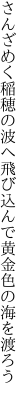 さんざめく稲穂の波へ飛び込んで 黄金色の海を渡ろう