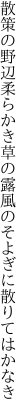 散策の野辺柔らかき草の露 風のそよぎに散りてはかなき