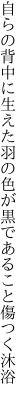 自らの背中に生えた羽の色が 黒であること傷つく沐浴