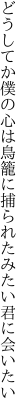 どうしてか僕の心は鳥籠に 捕られたみたい君に会いたい