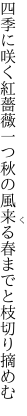 四季に咲く紅薔薇一つ秋の風 来る春までと枝切り摘めむ