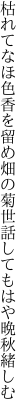 枯れてなほ色香を留め畑の菊 世話してもはや晩秋緒しむ