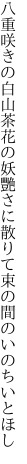 八重咲きの白山茶花の妖艷さに 散りて束の間のいのちいとほし