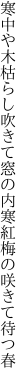 寒中や木枯らし吹きて窓の内 寒紅梅の咲きて待つ春