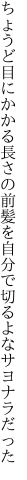 ちょうど目にかかる長さの前髪を 自分で切るよなサヨナラだった