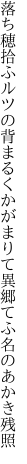 落ち穂拾ふルツの背まるくかがまりて 異郷てふ名のあかき残照