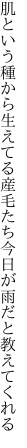 肌という種から生えてる産毛たち 今日が雨だと教えてくれる