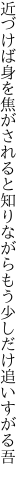 近づけば身を焦がされると知りながら もう少しだけ追いすがる吾