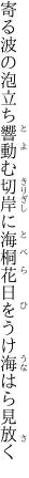 寄る波の泡立ち響動む切岸に 海桐花日をうけ海はら見放く