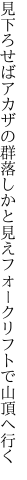 見下ろせばアカザの群落しかと見え フォークリフトで山頂へ行く