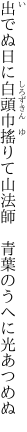 出でぬ日に白頭巾搖りて山法師 　青葉のうへに光あつめぬ