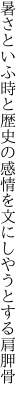 暑さといふ時と歴史の感情を 文にしやうとする肩胛骨