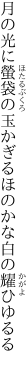 月の光に螢袋の玉かぎる ほのかな白の耀ひゆるる