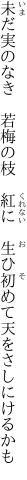 未だ実のなき　若梅の枝　紅に 　生ひ初めて天をさしにけるかも