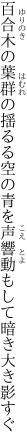 百合木の葉群の揺るる空の青を 声響動もして暗き大き影すぐ