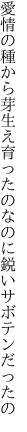 愛情の種から芽生え育ったの なのに鋭いサボテンだったの