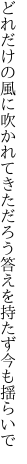 どれだけの風に吹かれてきただろう 答えを持たず今も揺らいで