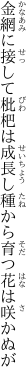 金網に接して枇杷は成長し 種から育つ花は咲かぬが