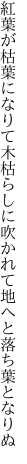 紅葉が枯葉になりて木枯らしに 吹かれて地へと落ち葉となりぬ