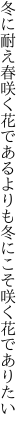 冬に耐え春咲く花であるよりも 冬にこそ咲く花でありたい