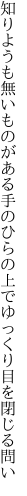 知りようも無いものがある手のひらの 上でゆっくり目を閉じる問い