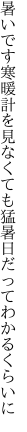 暑いです寒暖計を見なくても 猛暑日だってわかるくらいに
