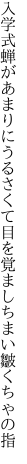 入学式蝉があまりにうるさくて 目を覚ましちまい皺くちゃの指