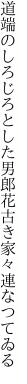 道端のしろじろとした男郎花 古き家々連なつてゐる