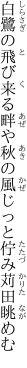 白鷺の飛び来る畔や秋の風 じっと佇み苅田眺めむ