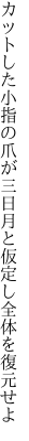 カットした小指の爪が三日月と 仮定し全体を復元せよ